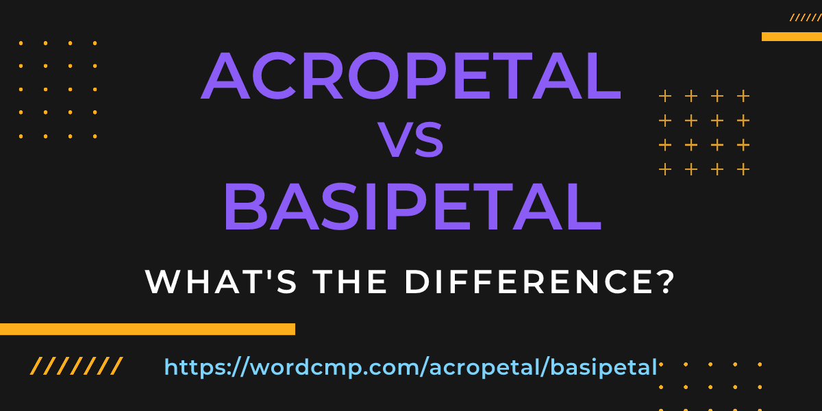 Difference between acropetal and basipetal