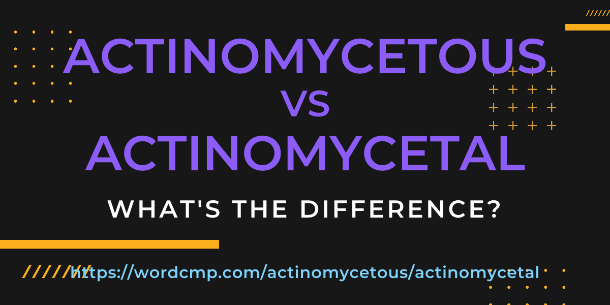 Difference between actinomycetous and actinomycetal