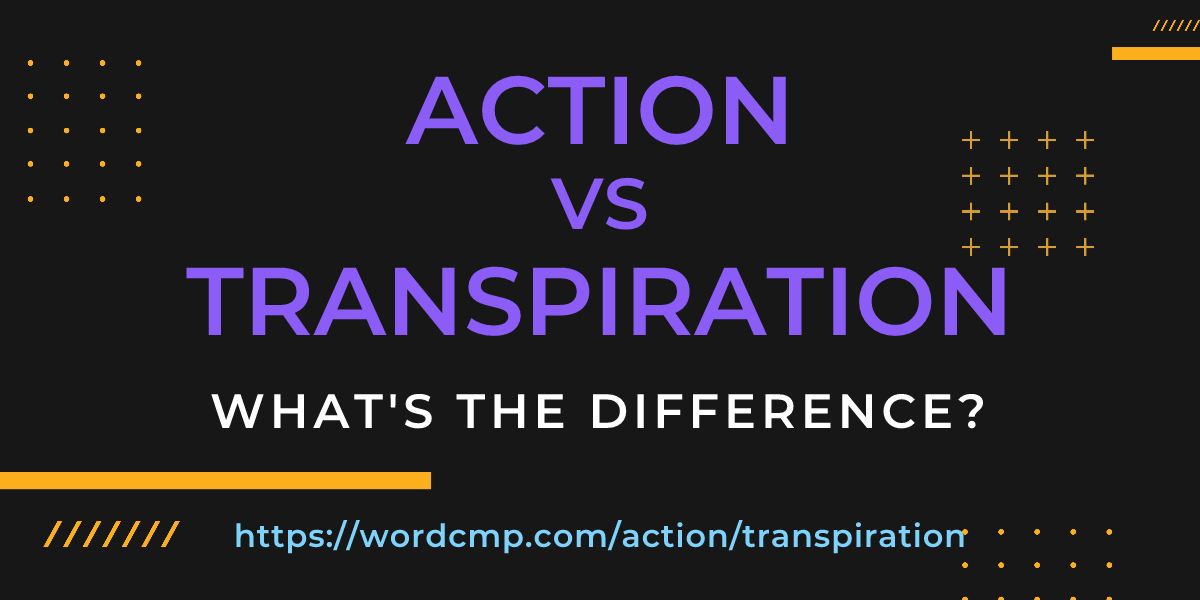 Difference between action and transpiration