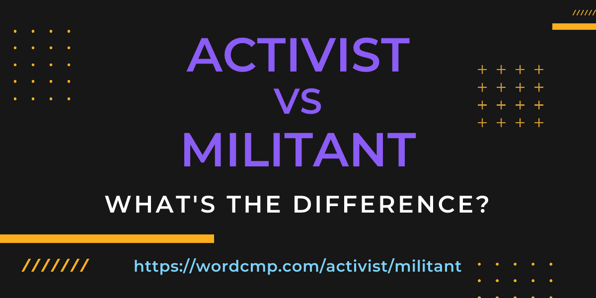 Difference between activist and militant