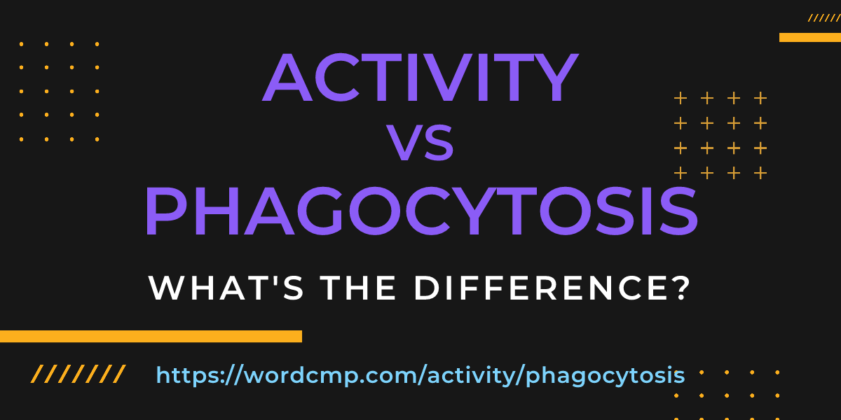 Difference between activity and phagocytosis