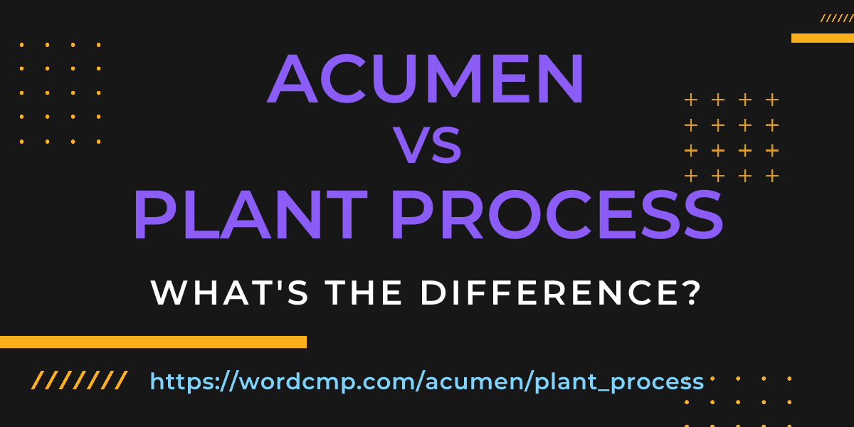 Difference between acumen and plant process