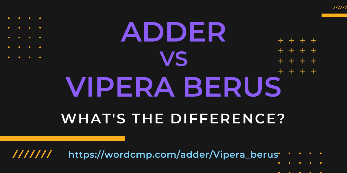 Difference between adder and Vipera berus