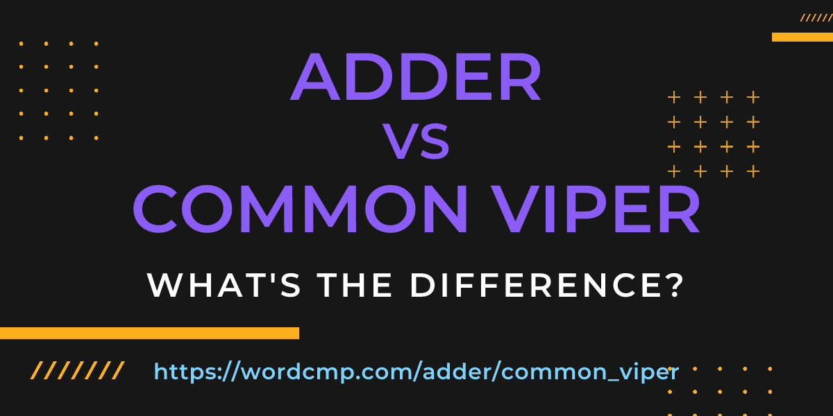 Difference between adder and common viper