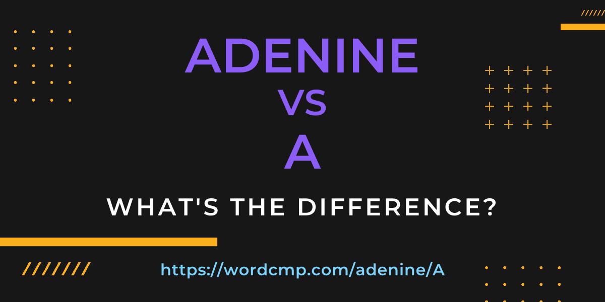 Difference between adenine and A