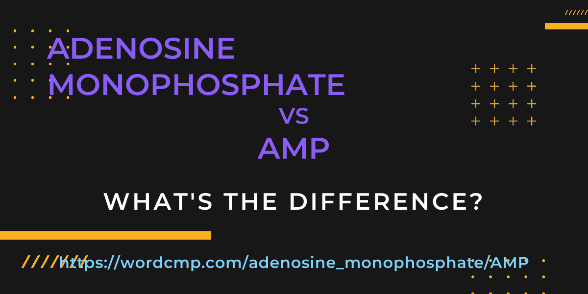 Difference between adenosine monophosphate and AMP