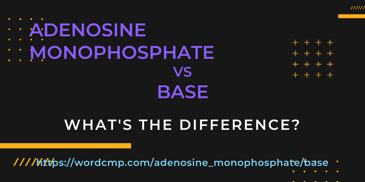 Difference between adenosine monophosphate and base