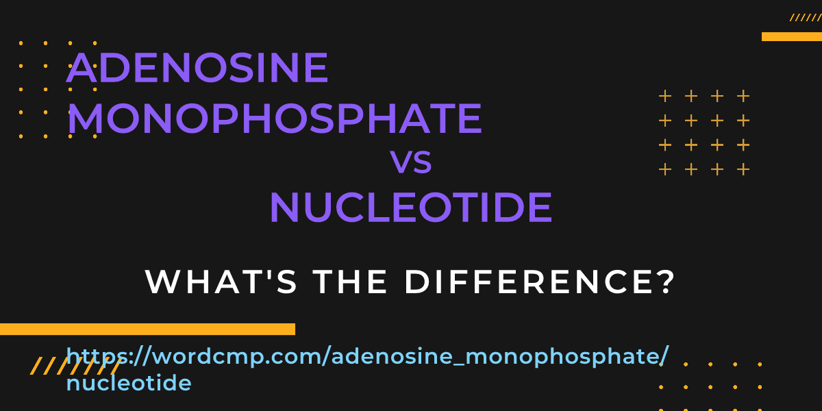 Difference between adenosine monophosphate and nucleotide