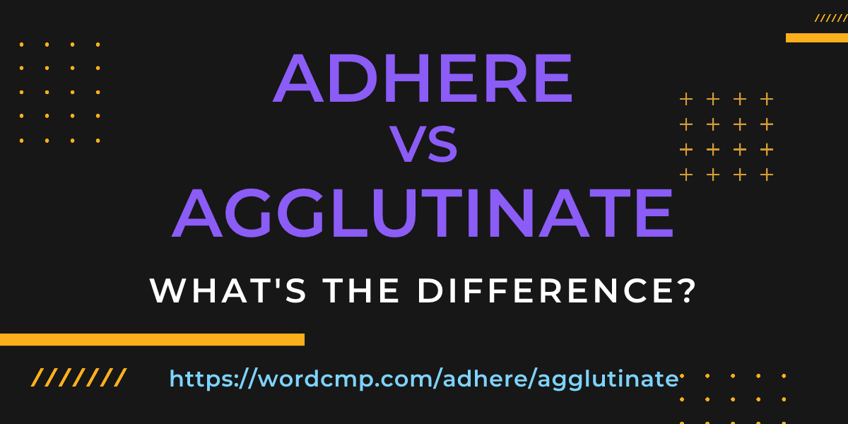 Difference between adhere and agglutinate