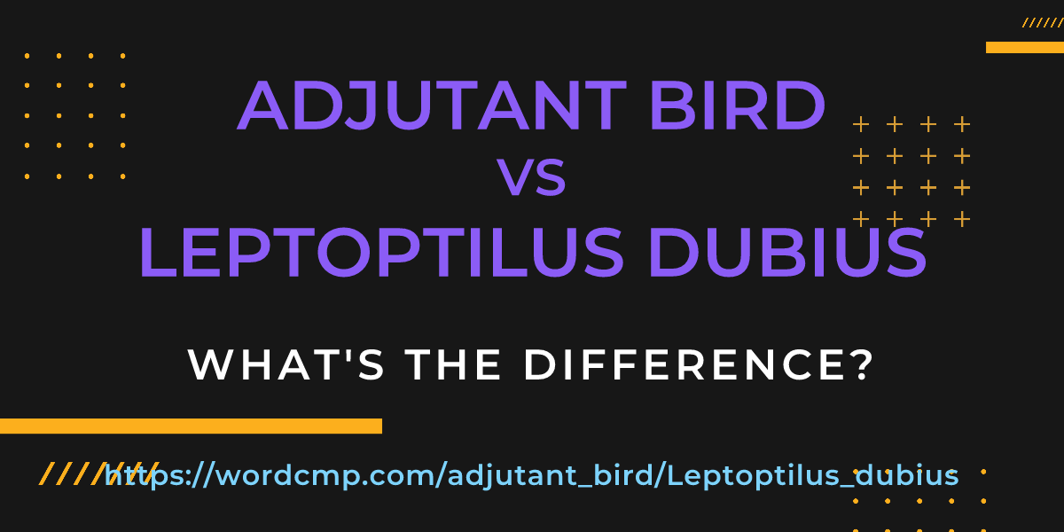 Difference between adjutant bird and Leptoptilus dubius