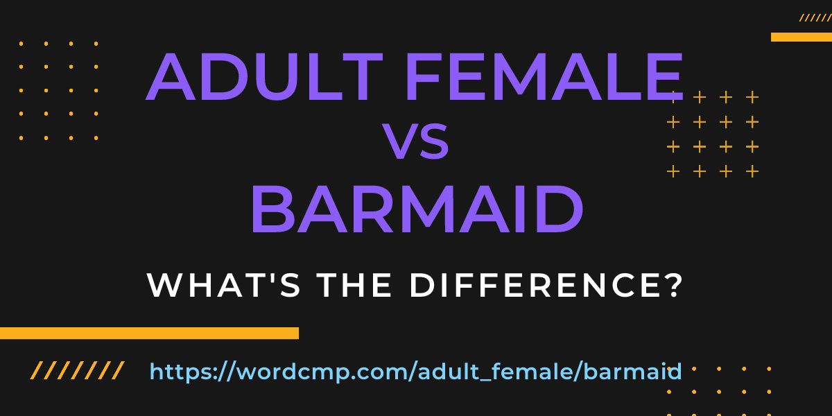 Difference between adult female and barmaid