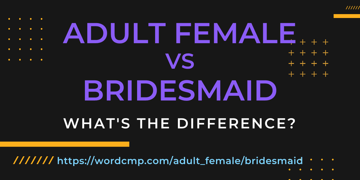 Difference between adult female and bridesmaid
