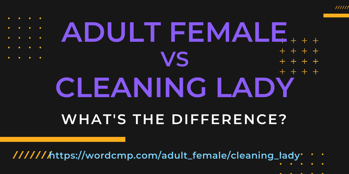 Difference between adult female and cleaning lady