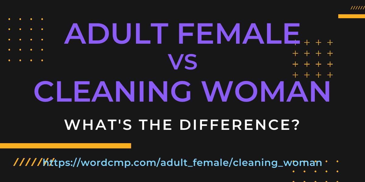 Difference between adult female and cleaning woman