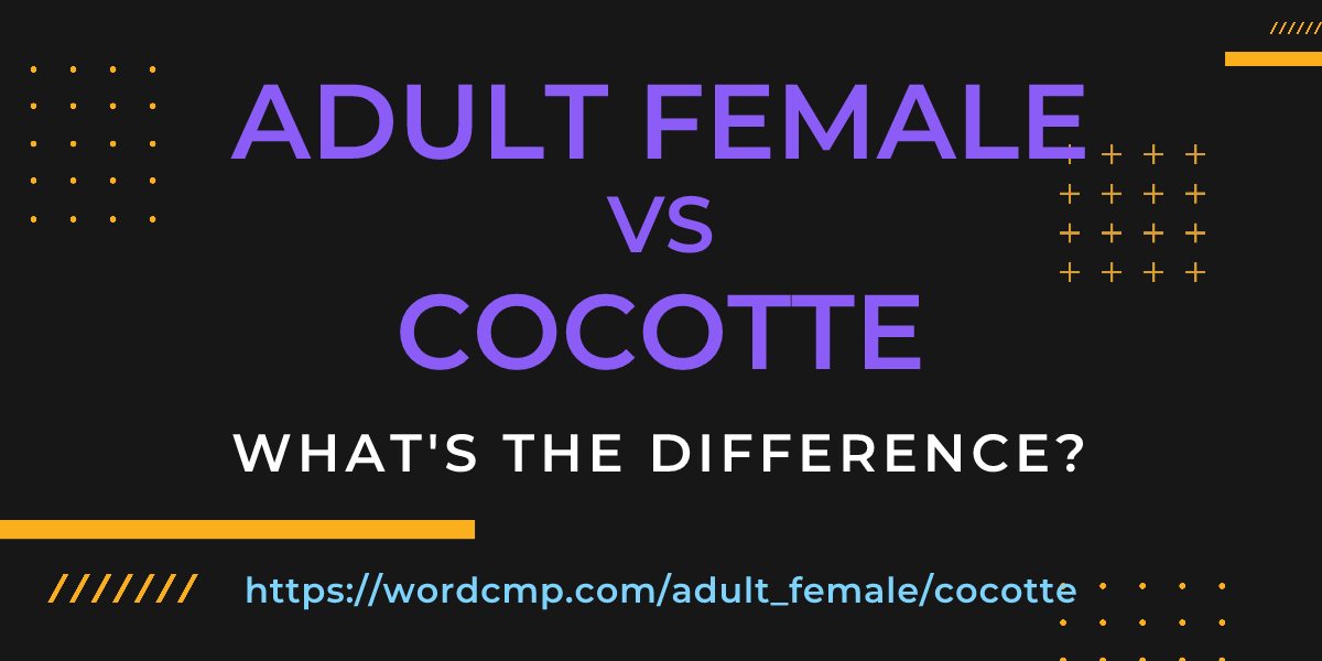 Difference between adult female and cocotte