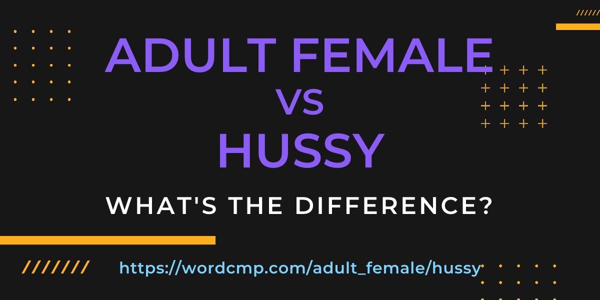 Difference between adult female and hussy