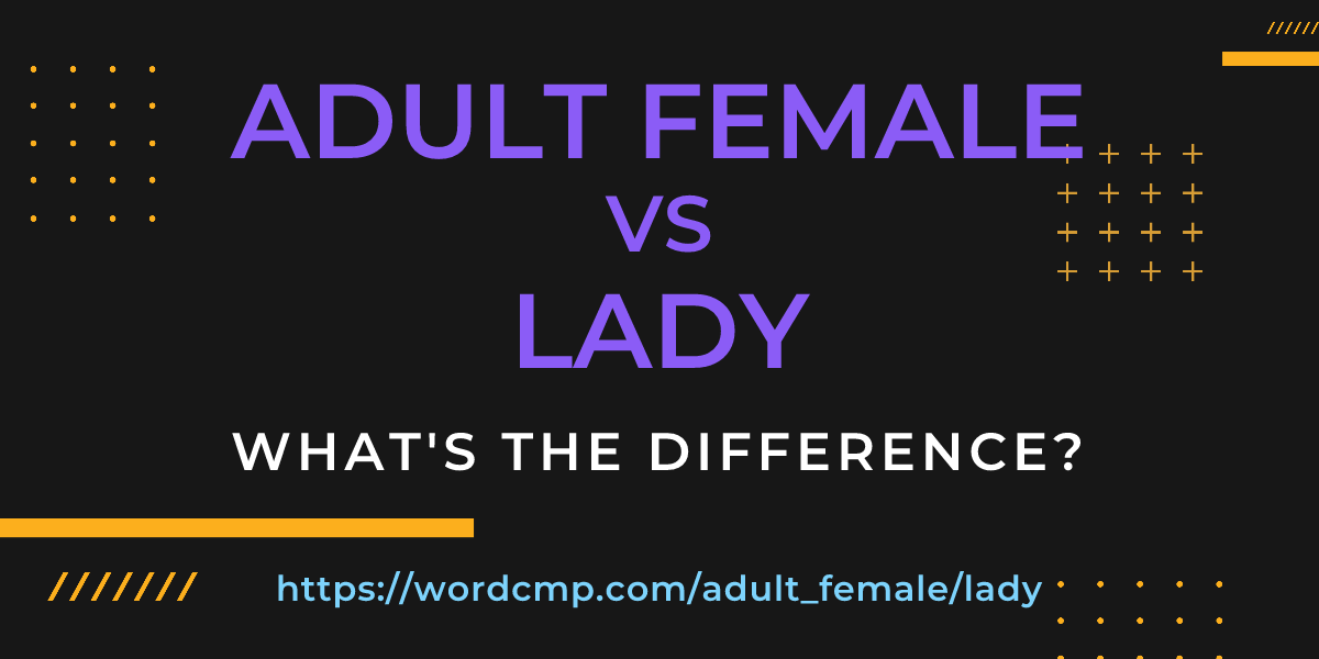 Difference between adult female and lady