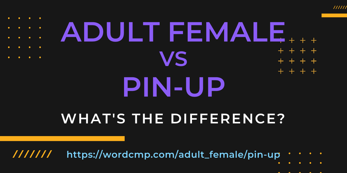 Difference between adult female and pin-up