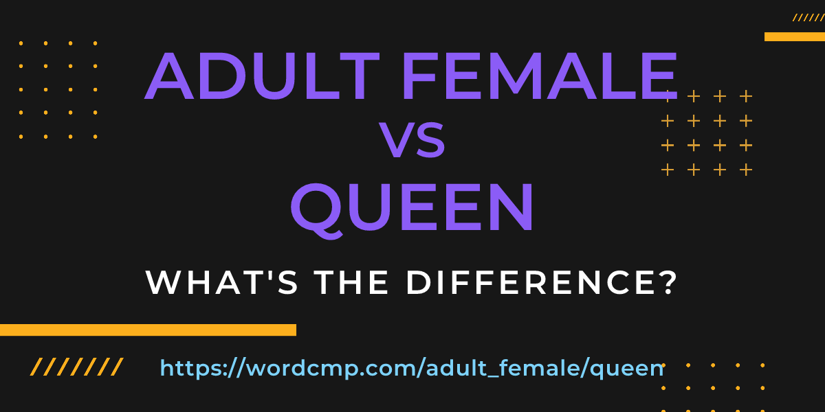 Difference between adult female and queen