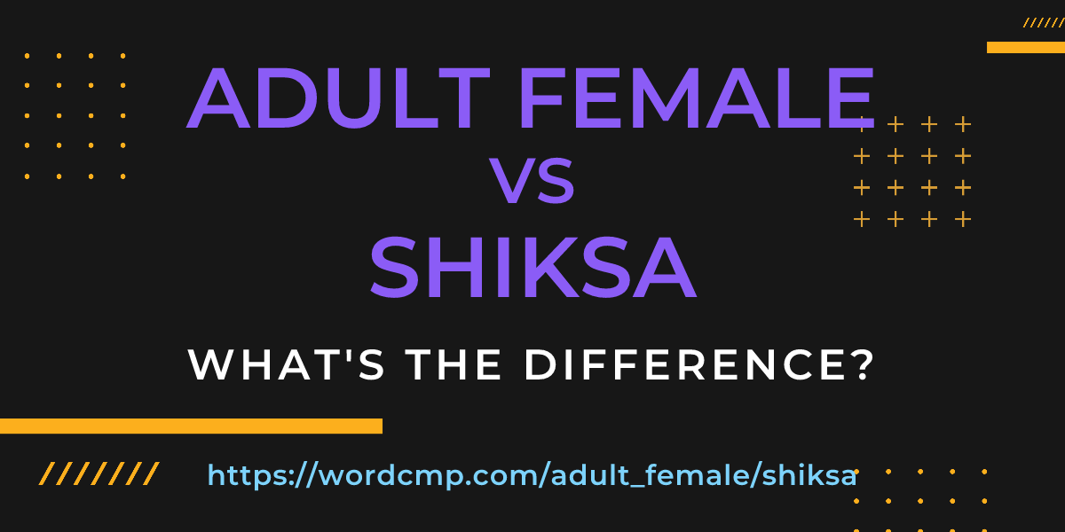 Difference between adult female and shiksa