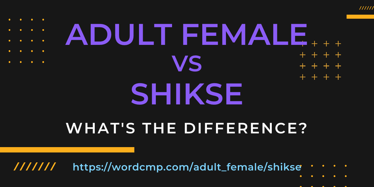 Difference between adult female and shikse