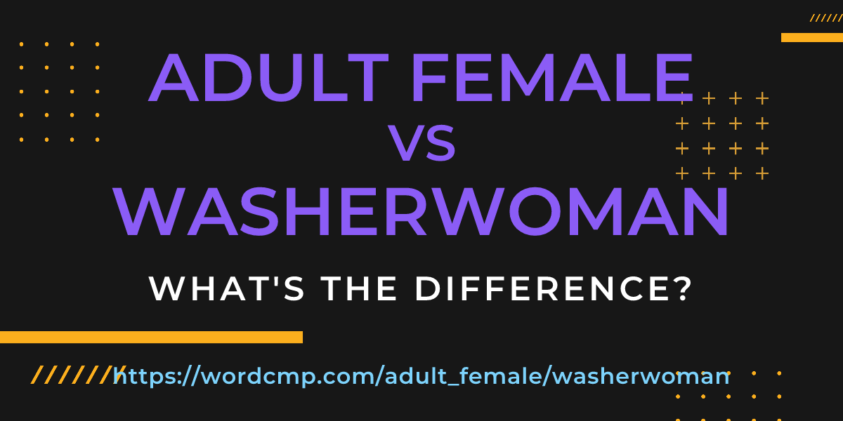 Difference between adult female and washerwoman