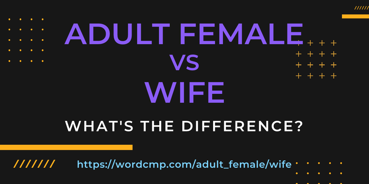 Difference between adult female and wife