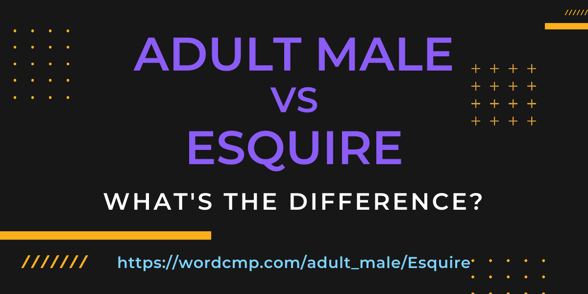 Difference between adult male and Esquire