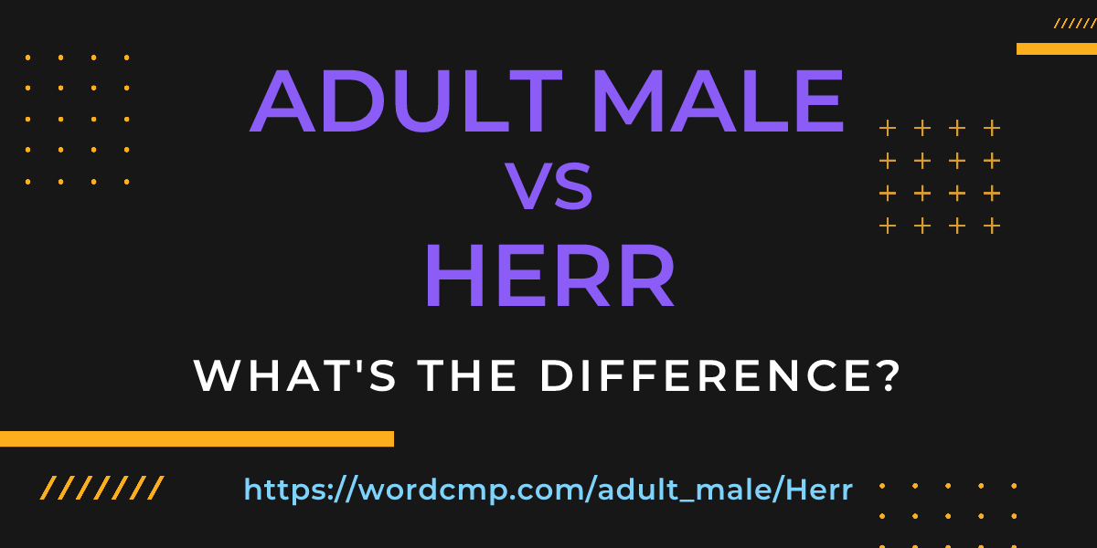 Difference between adult male and Herr