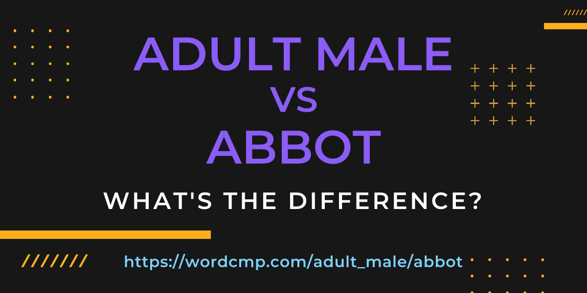 Difference between adult male and abbot