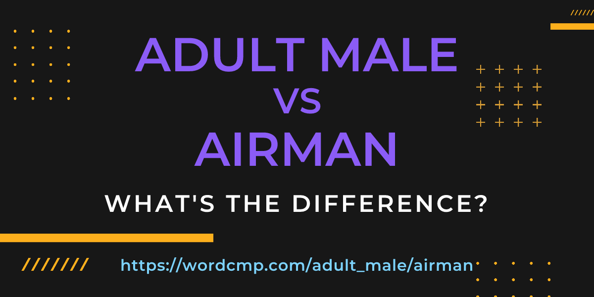 Difference between adult male and airman