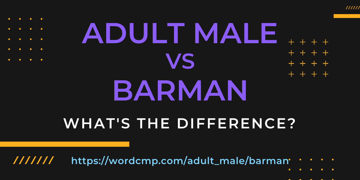 Difference between adult male and barman