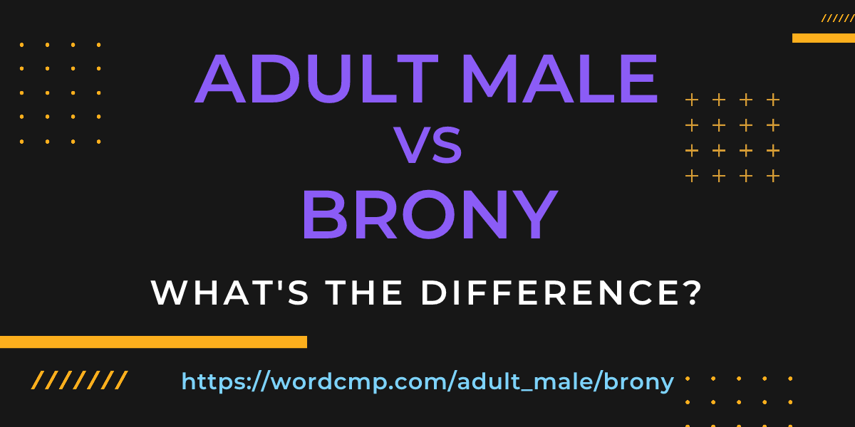Difference between adult male and brony