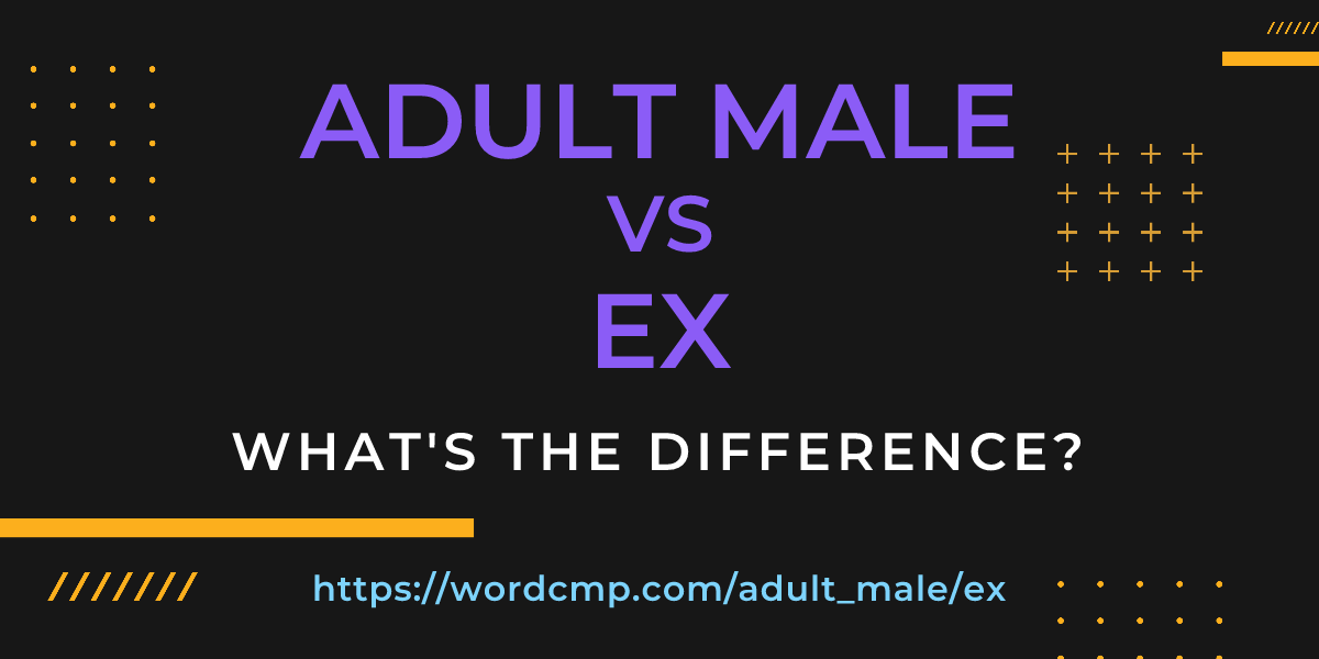 Difference between adult male and ex