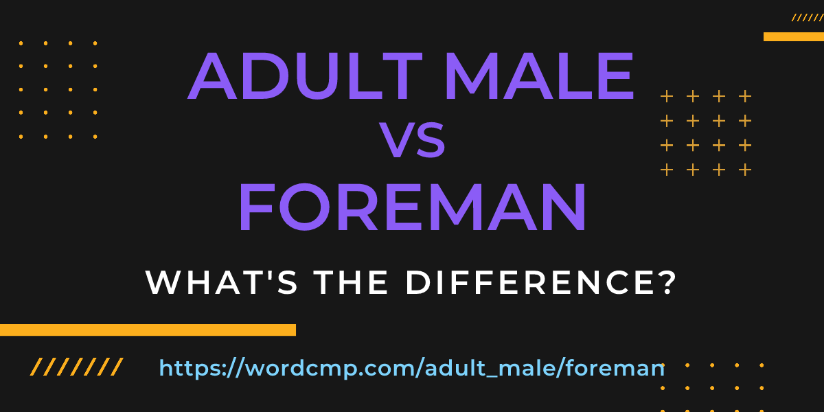 Difference between adult male and foreman