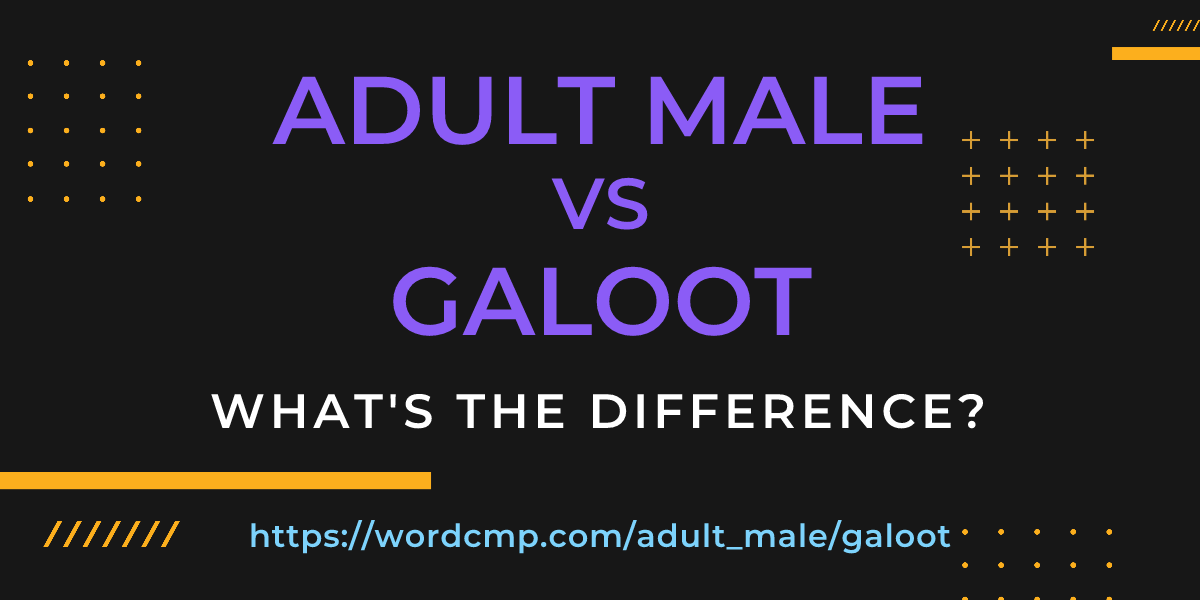 Difference between adult male and galoot
