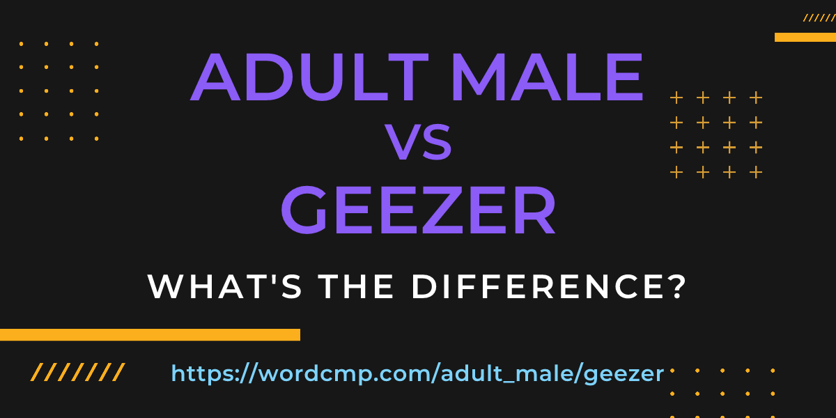 Difference between adult male and geezer