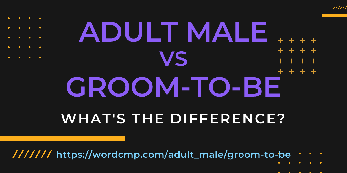 Difference between adult male and groom-to-be