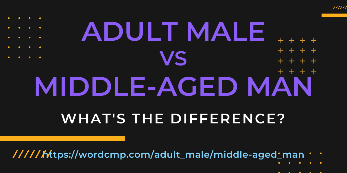 Difference between adult male and middle-aged man