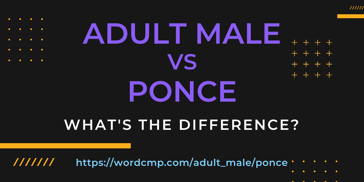 Difference between adult male and ponce