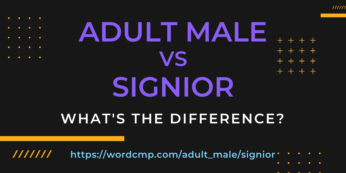 Difference between adult male and signior