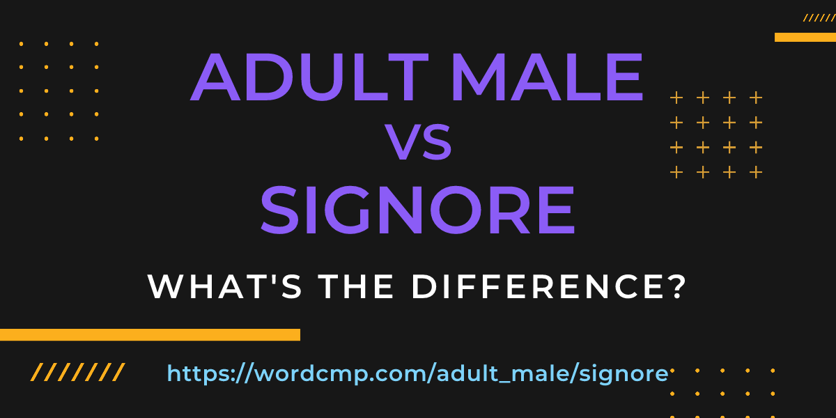 Difference between adult male and signore