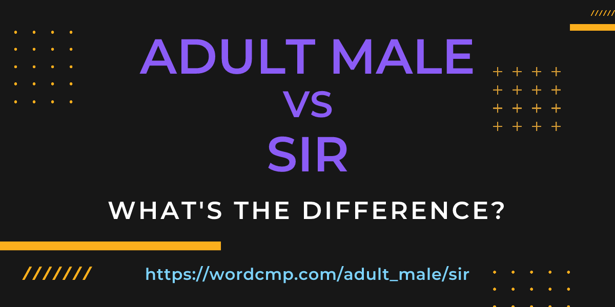 Difference between adult male and sir