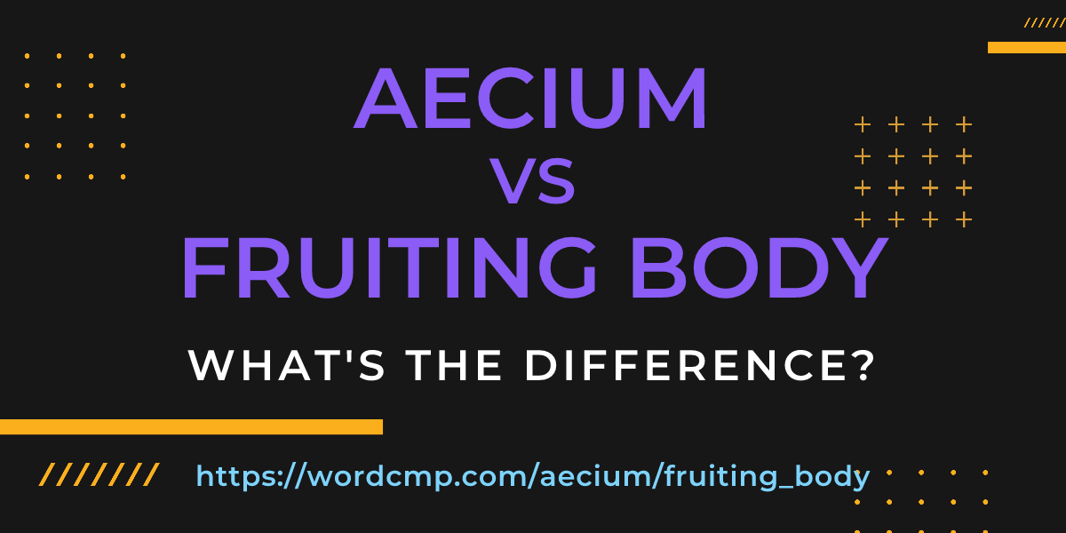Difference between aecium and fruiting body