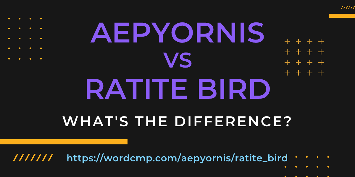 Difference between aepyornis and ratite bird