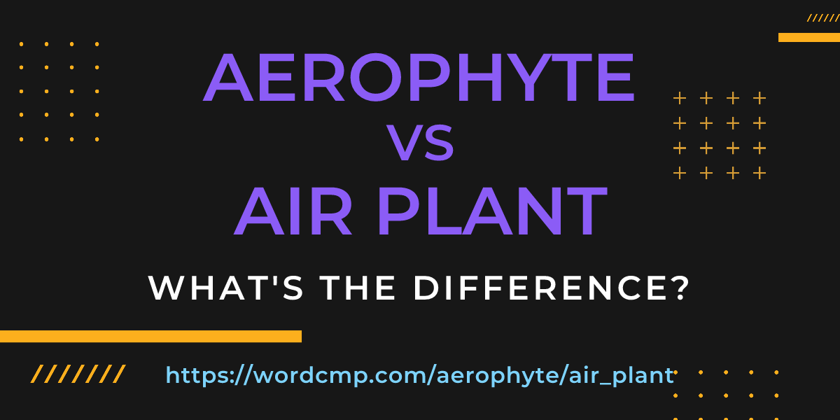 Difference between aerophyte and air plant