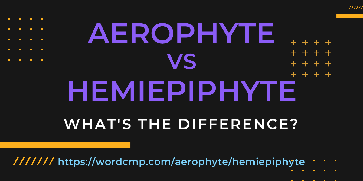 Difference between aerophyte and hemiepiphyte