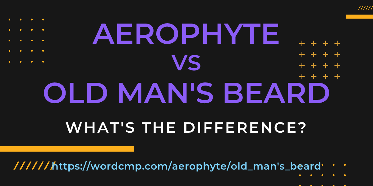 Difference between aerophyte and old man's beard