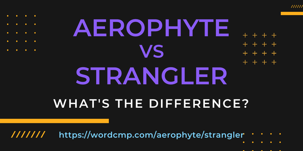 Difference between aerophyte and strangler