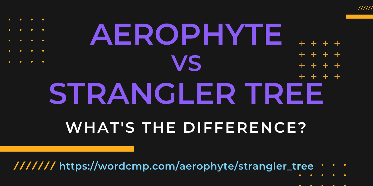 Difference between aerophyte and strangler tree